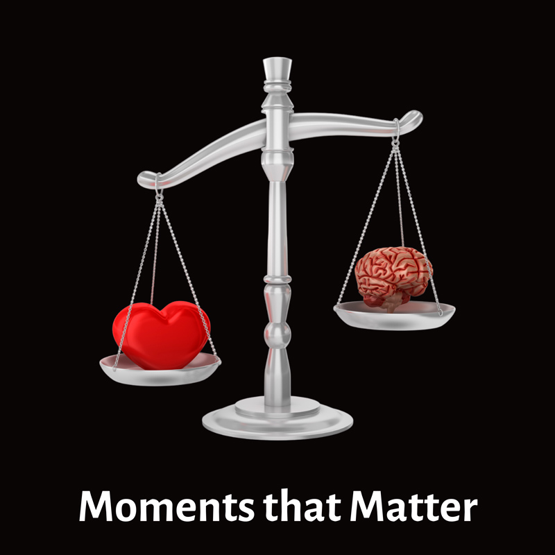 moments-that-matters dr susan gray